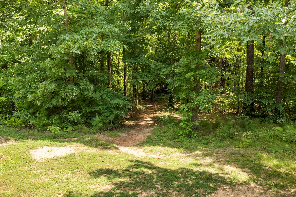 Multiple trails on property
