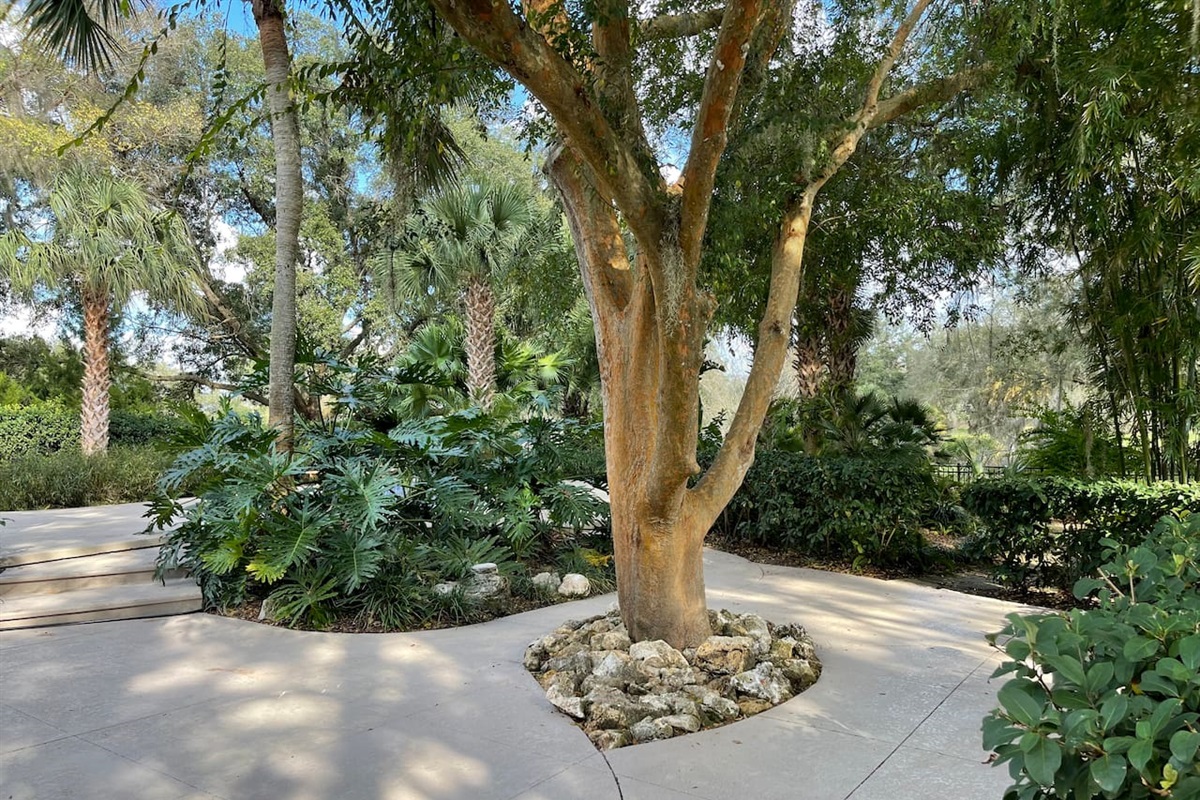 3a443625dbac4c72bf9ea7224af00f2c Large Ocala vacation rental