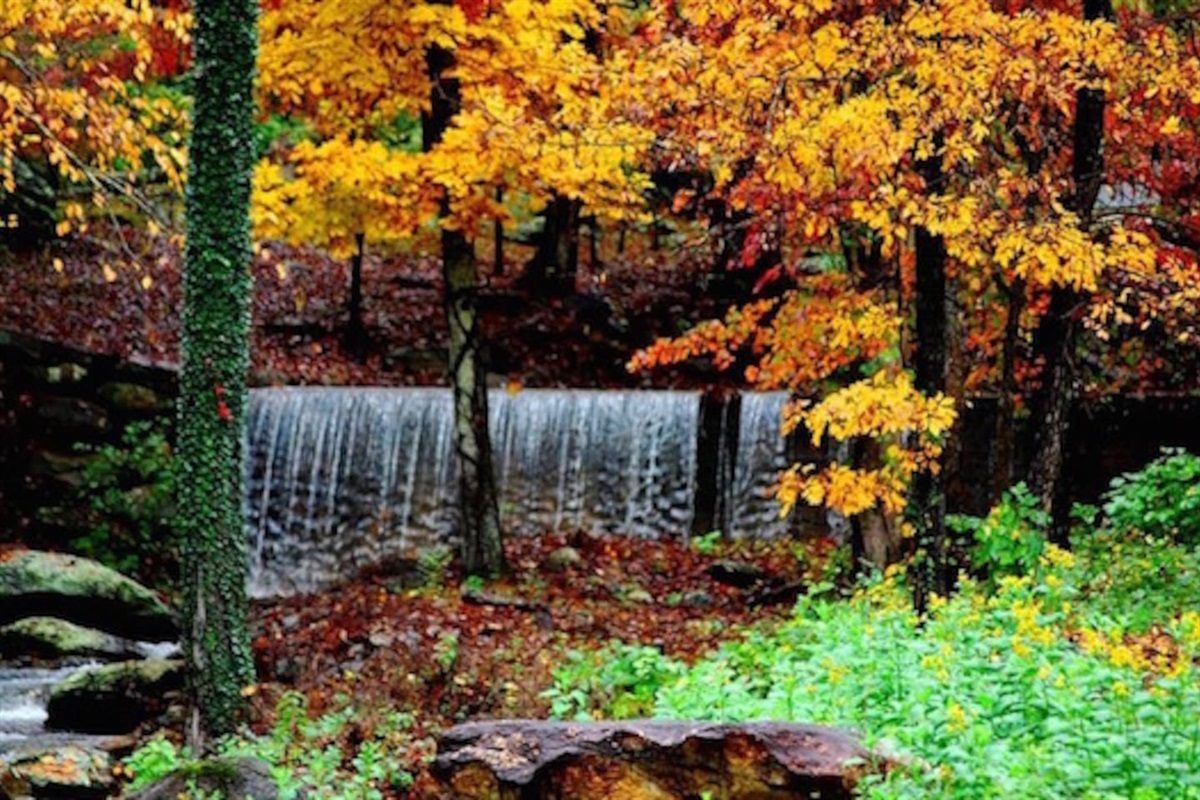 Explore one of the many waterfalls in Western North Carolina
