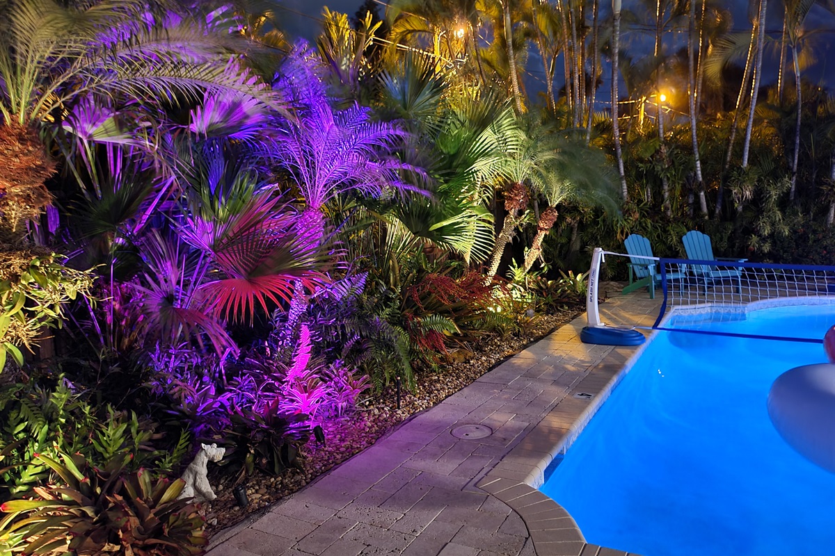 Swimming pool at night