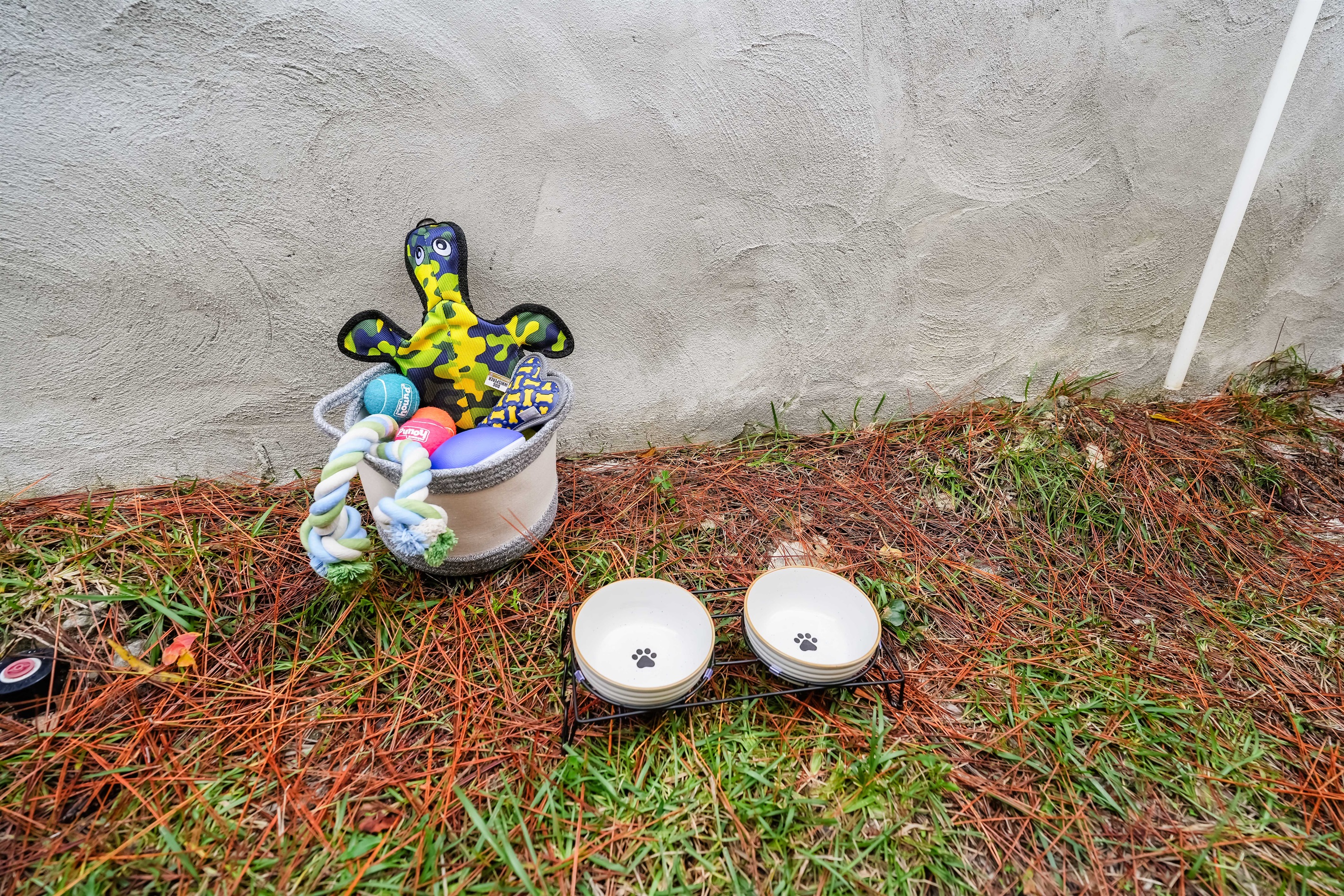 Pet-friendly perfection, tailored amenities for your furry friends