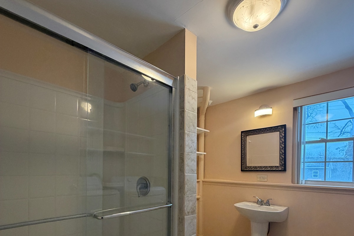 Lower level bathroom with shower and laundry