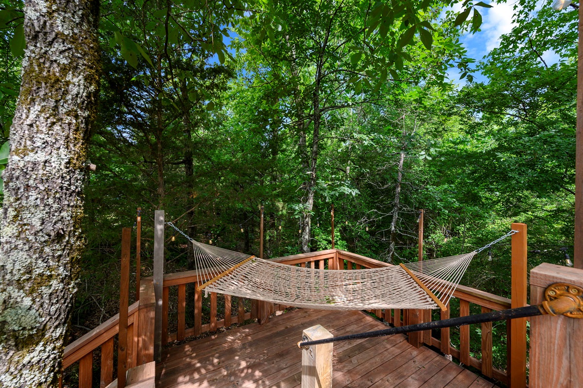 Hammock in the trees