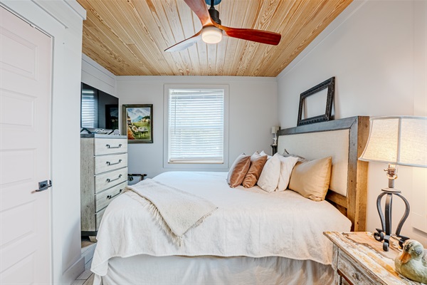 Master bedroom with king and smart TV