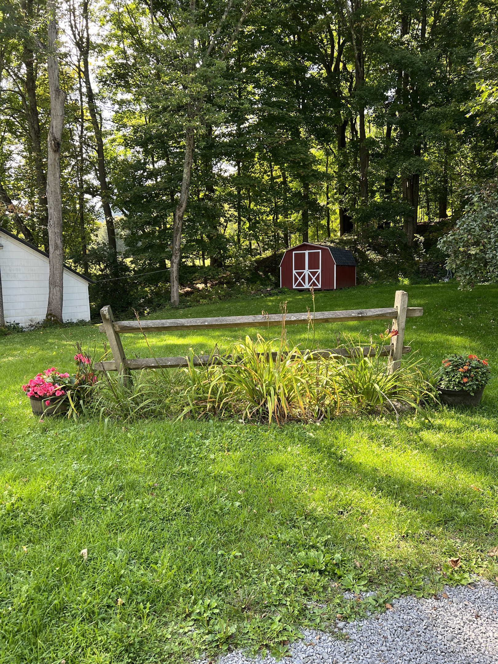 Backyard of Moonlight Graham Archie