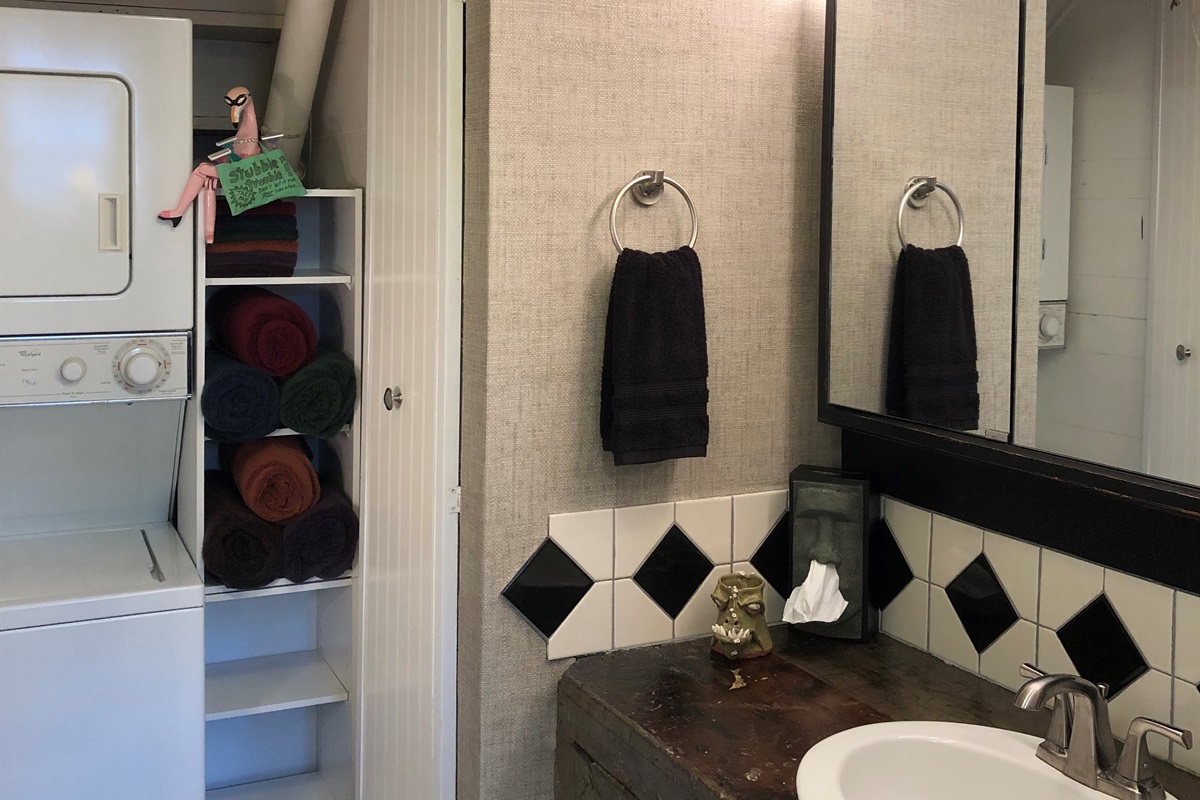 Downstairs bathroom w/washer-dryer