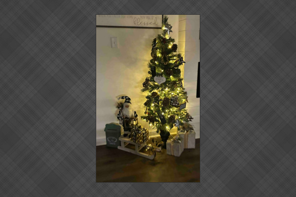 Christmas tree is decorated and don't forget get to leave Santa a letter!