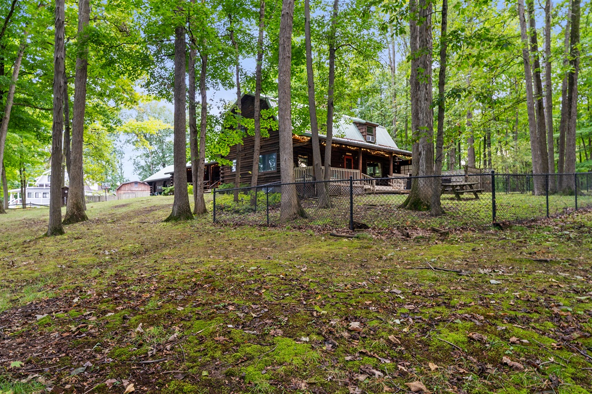 Stroll through your very own wooded paradise with towering trees and serene forest views.