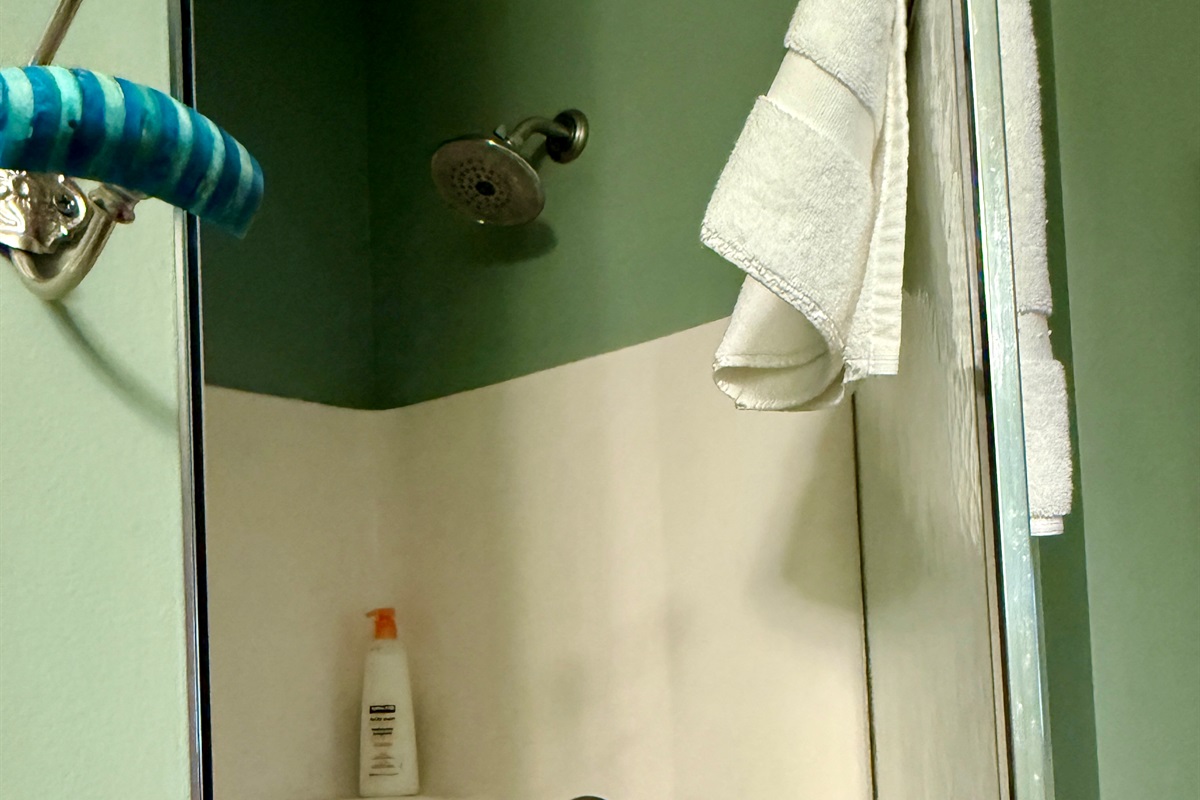 The lower level bathroom has a shower with glass door. Shampoo, conditioner and body wash are all provided for your stay.