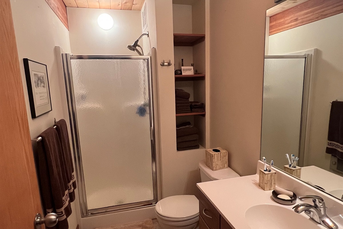 Left wing shared guest bathroom