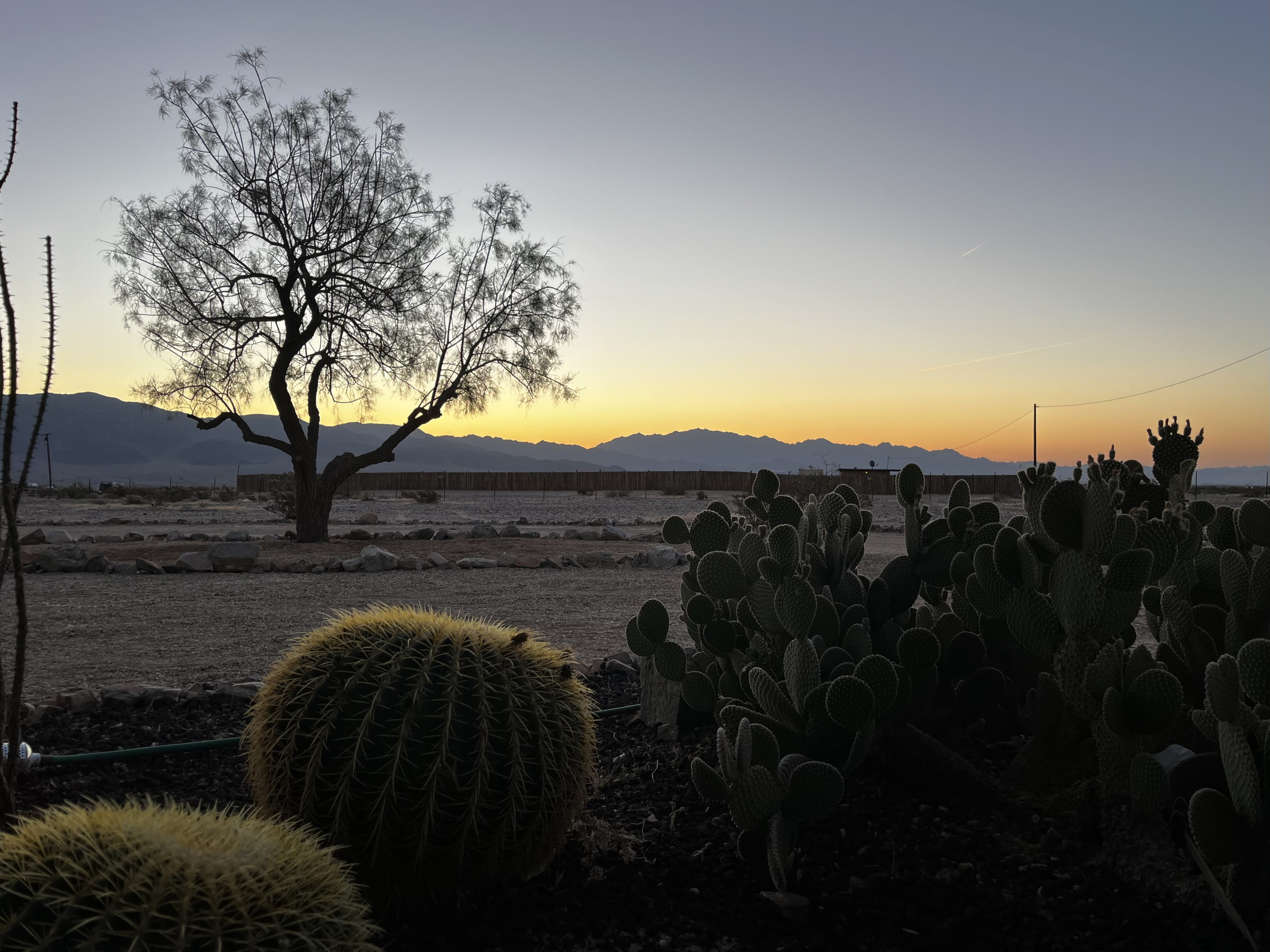 View from the front porch