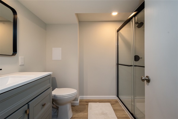 Basement Bathroom