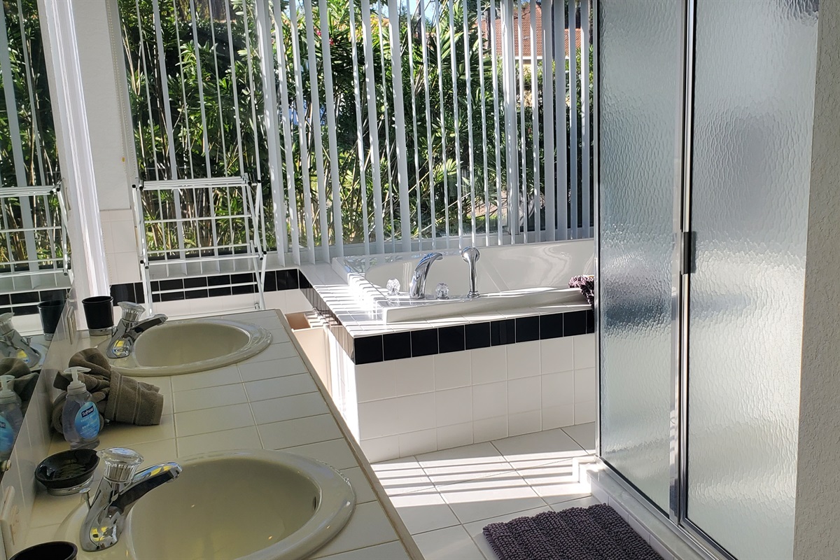 Queen bedroom private bathroom with sunk-in tub and walk in shower