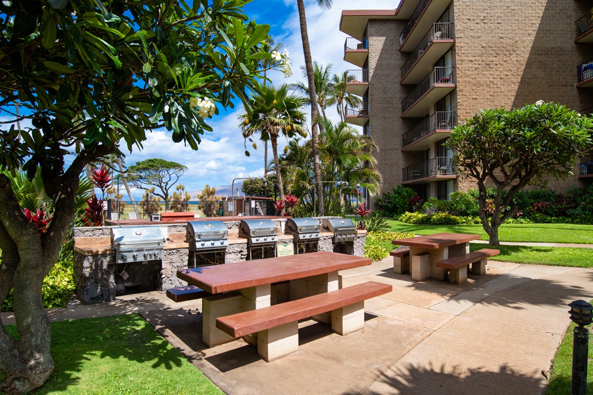 Resort Amenity: BBQ Grills