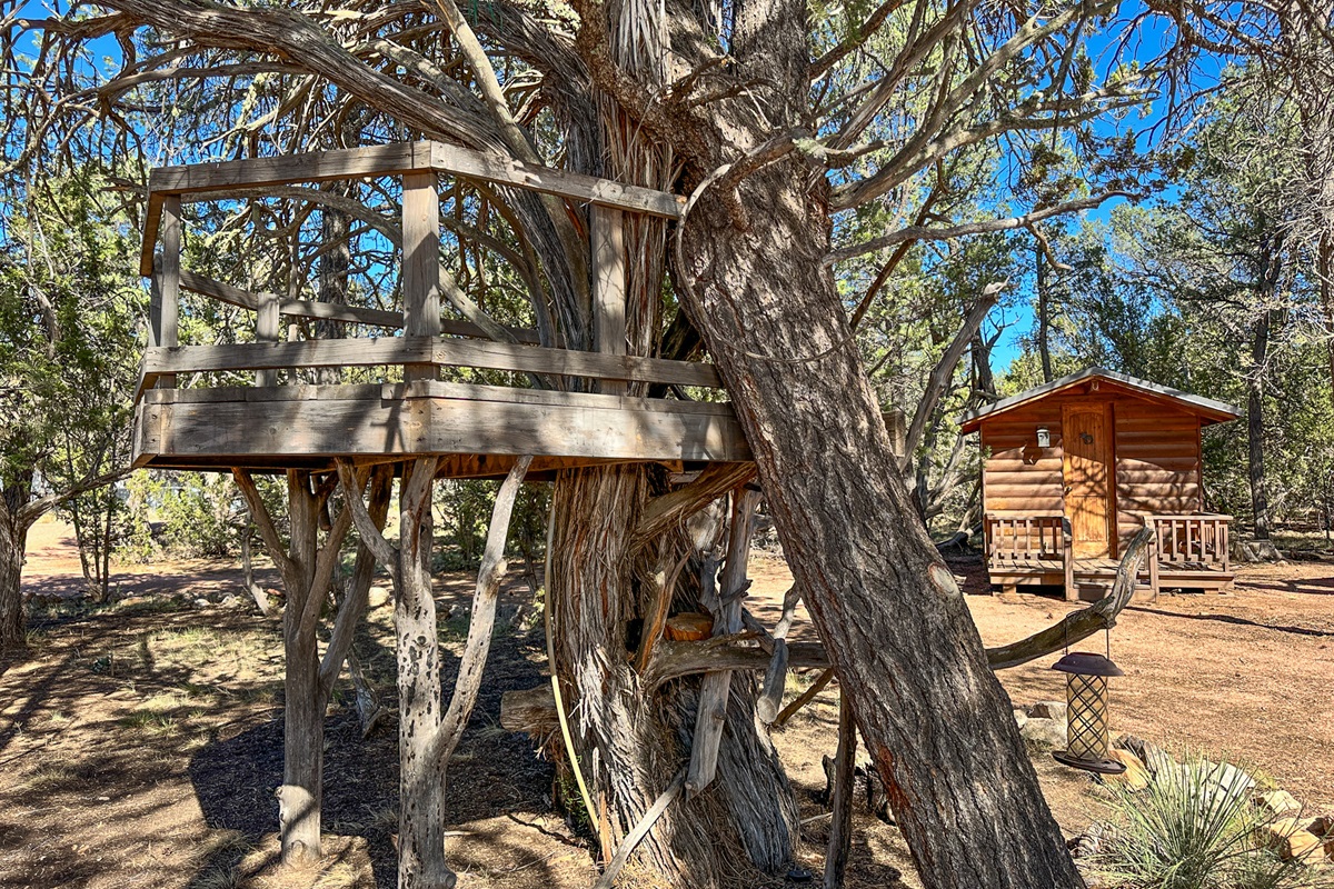 Kids will love the crooked pine tree fort