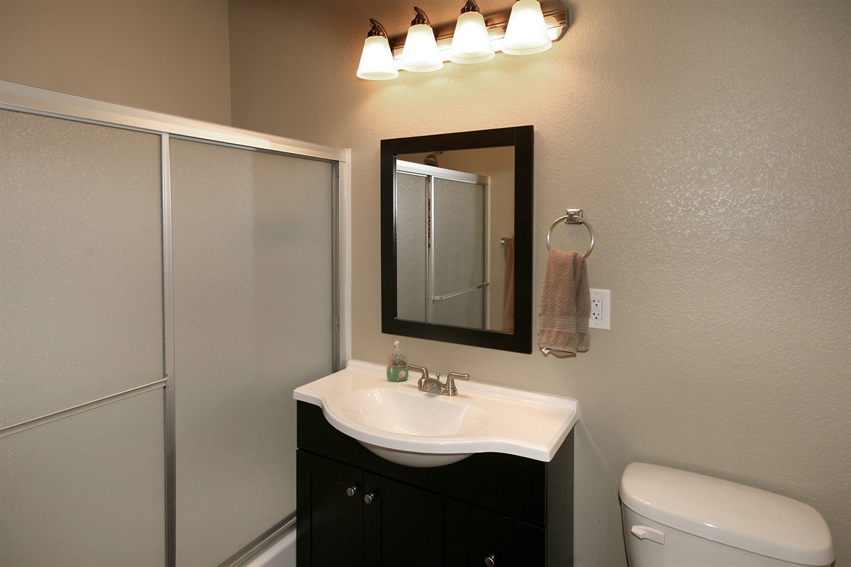 Downstairs Master Bath