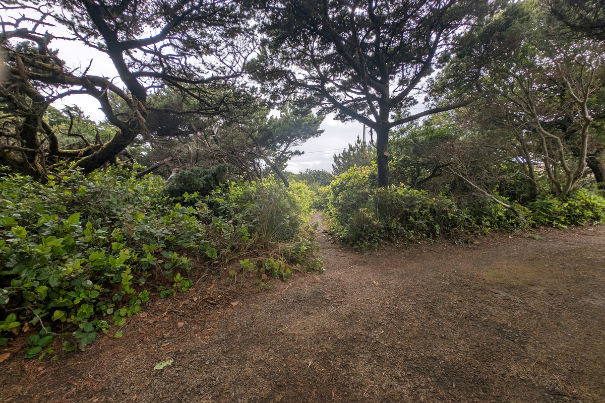 Path to Beach