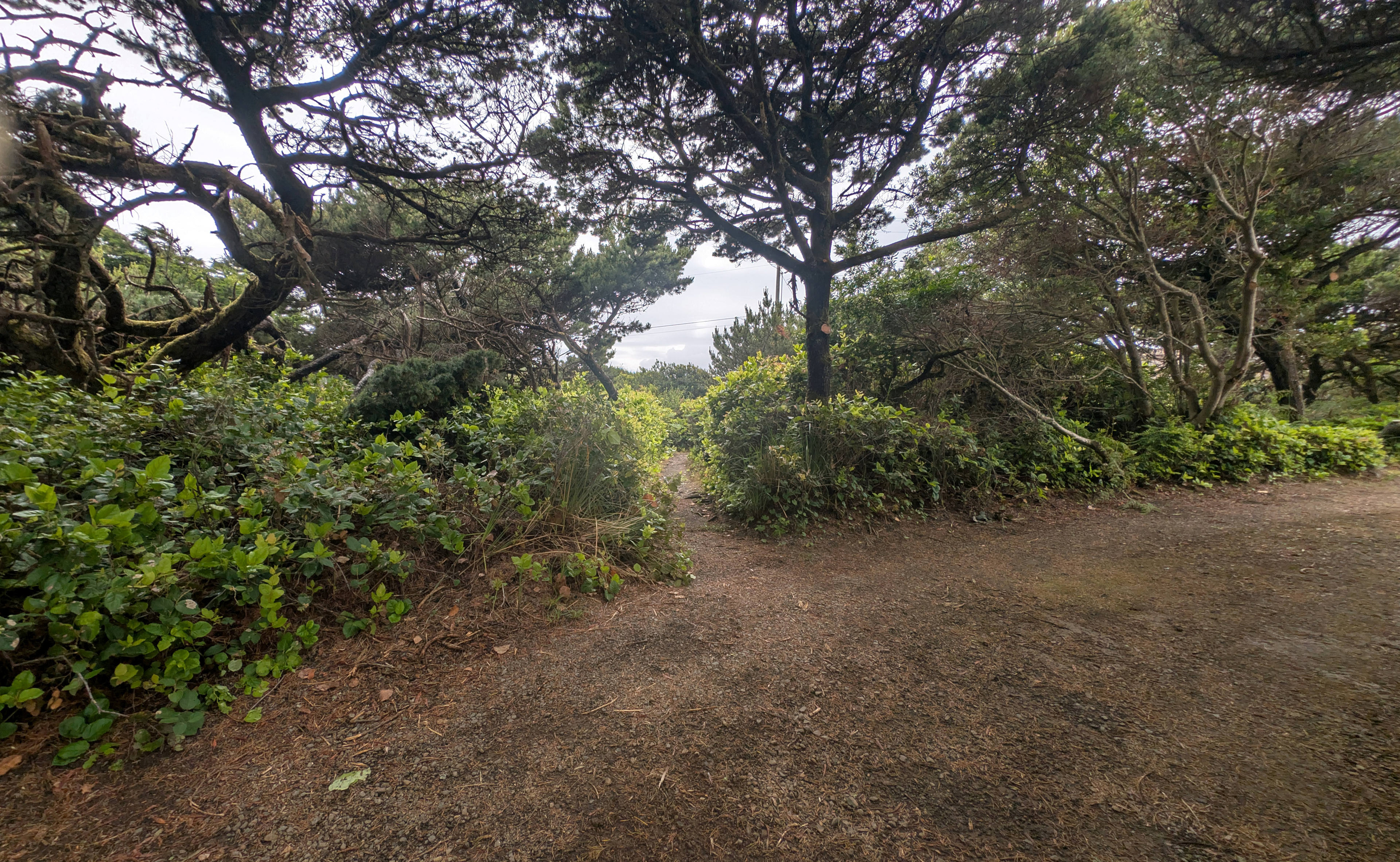 Path to Beach