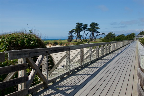 Noyo Headland Trail