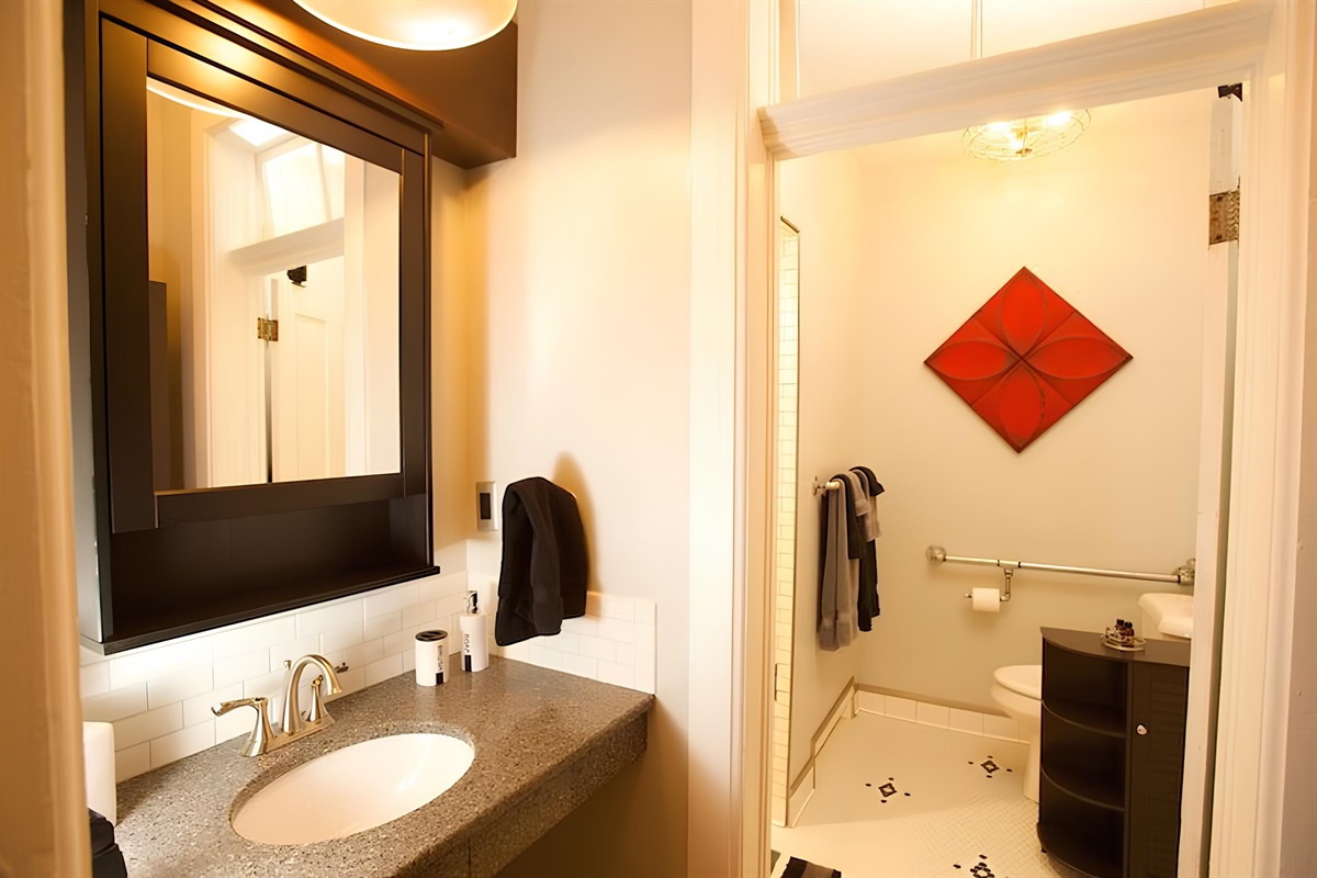 Mirror cabinet can store personal toiletries. Historic door can be closed to shower and toilet.