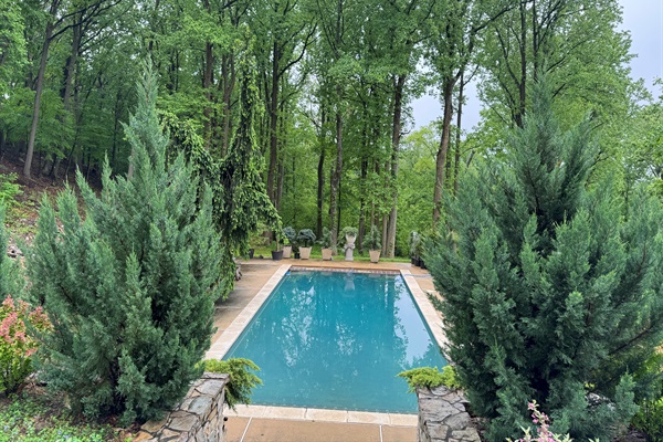 Enjoy forest views and the pool during your stay.