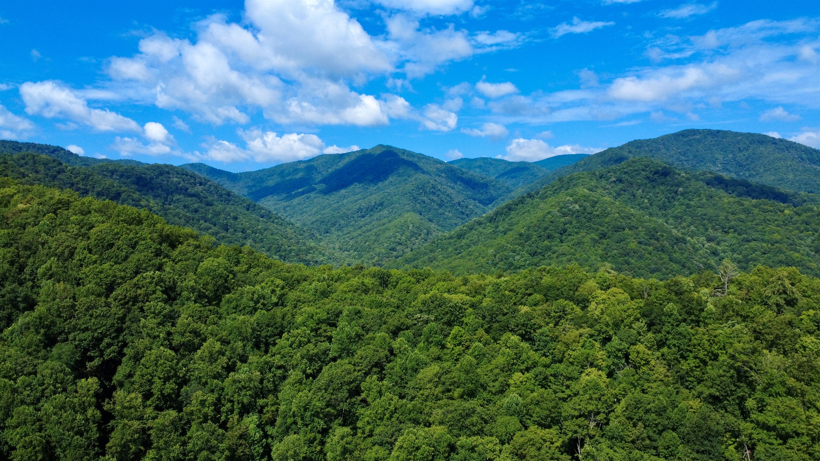 Our mountains are showing off again