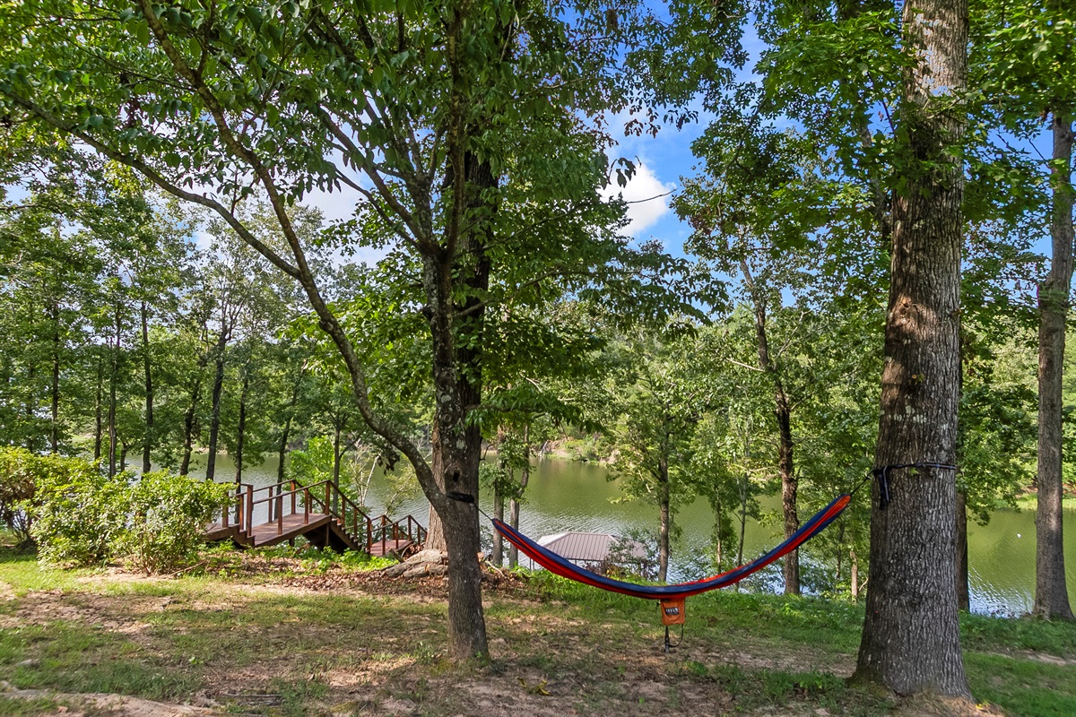 Peaceful Relaxation in a Hammock