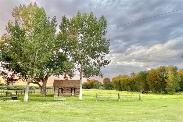 North deck view, 2 Acre Pasture, horses welcome