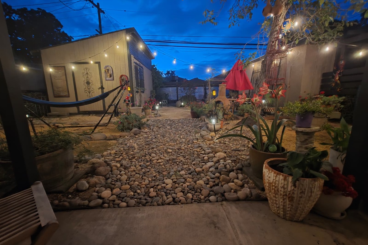 Backyard