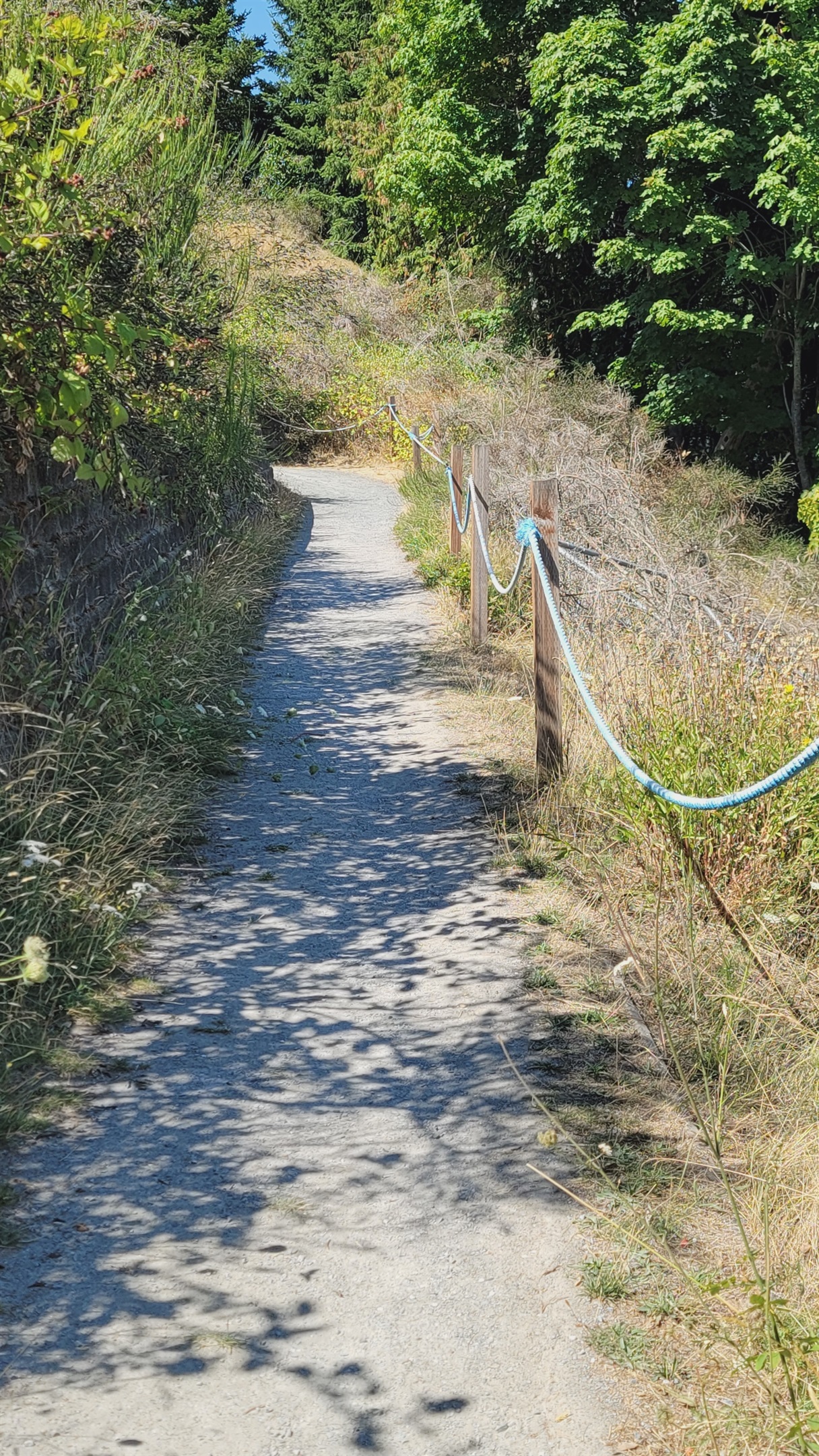 Resort pathway to Beach.