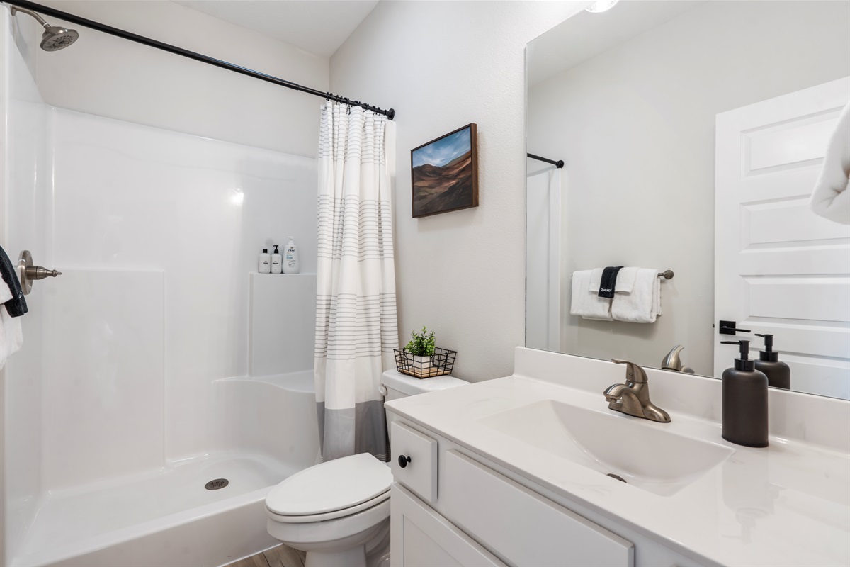 Hallway Bathroom- Main Floor