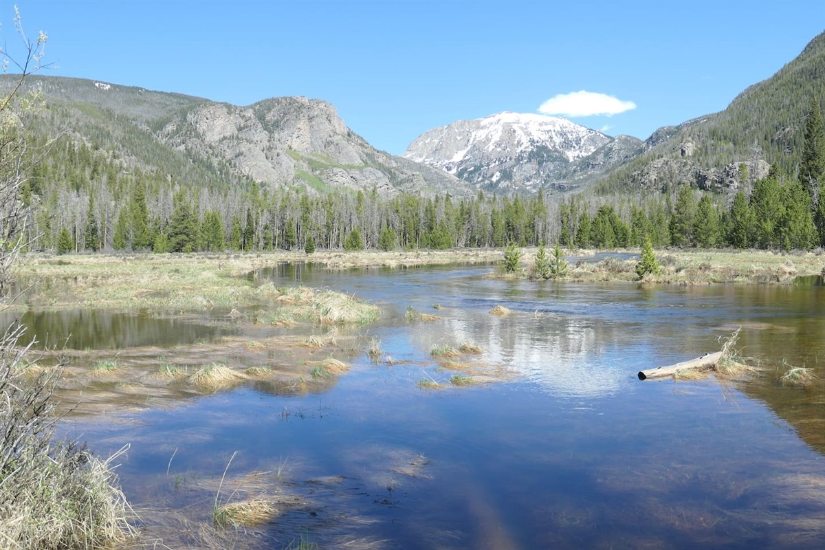 Infamous Mt Baldy is just a short hike up the East Inlet Trail past the must-see Adams Falls