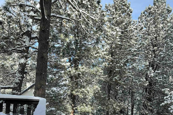 Snow view from the deck