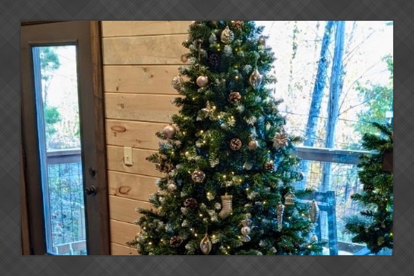 The cabin is decorated for the holidays - main floor living room