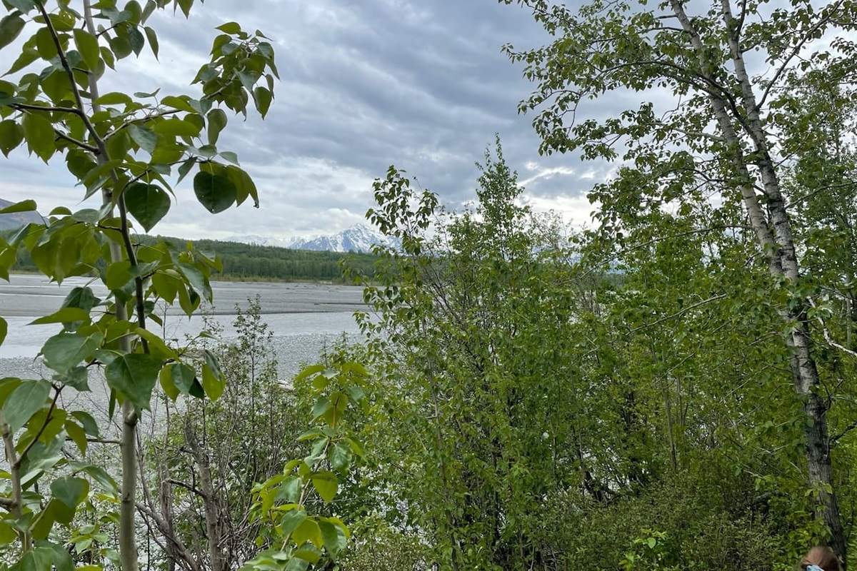 Matanuska River