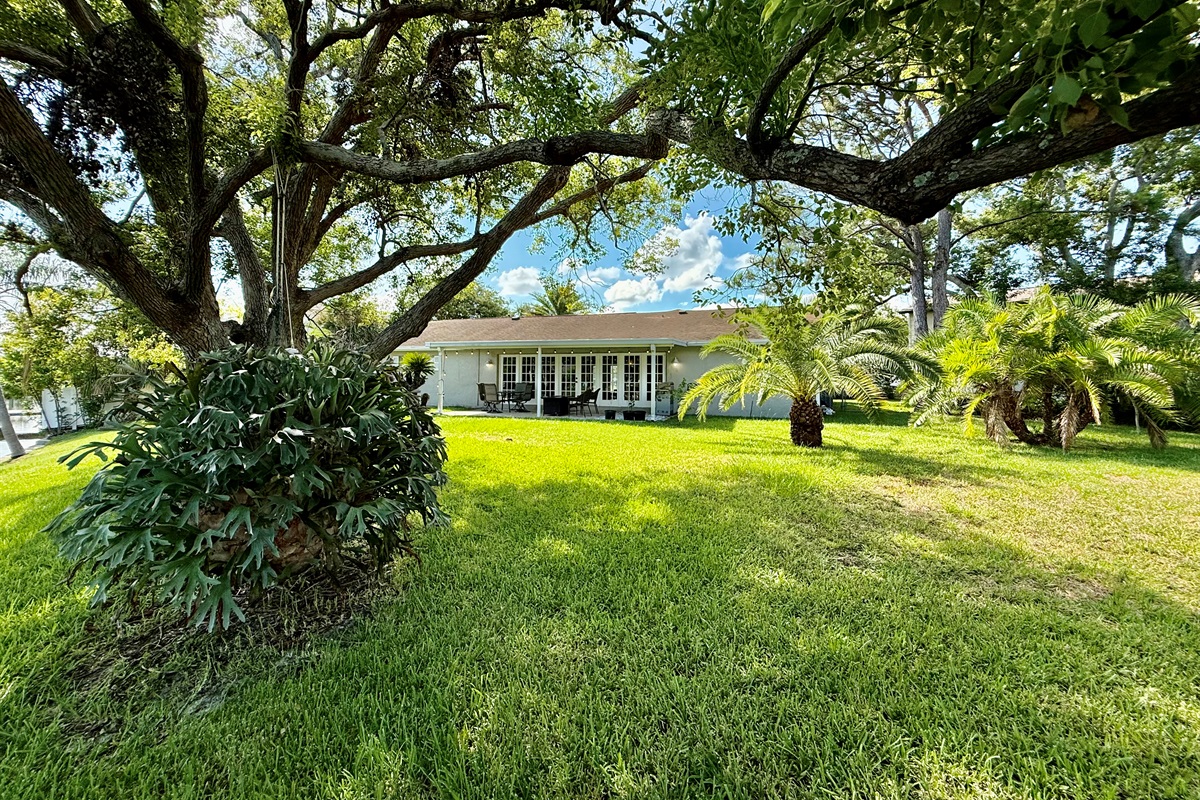 Backyard