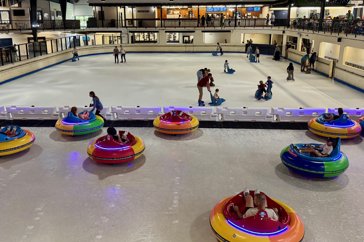Ober Ice Bumper Cars