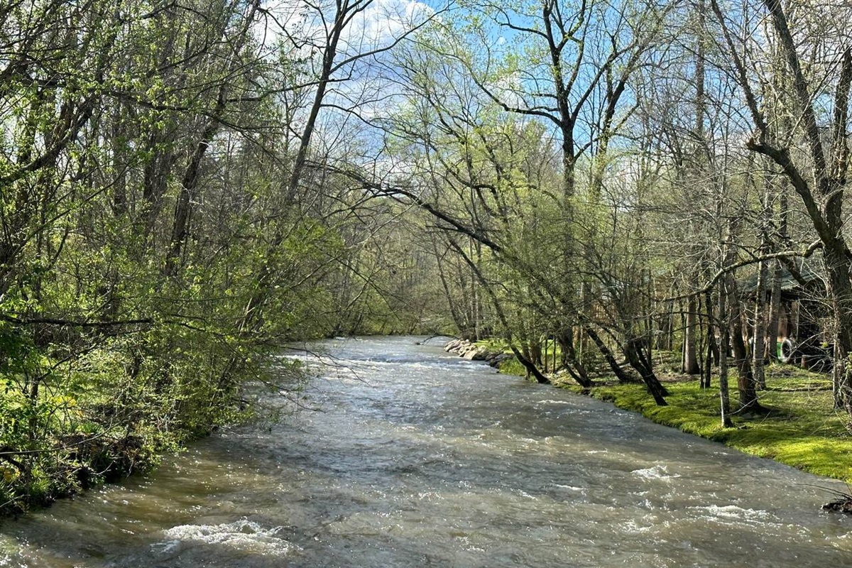 Creekside Paradise! Creek view