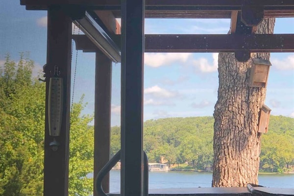 View from the living room couch