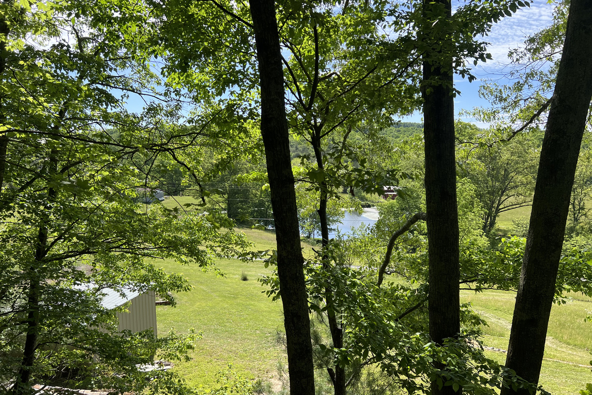 Great place to enjoy the birdsong