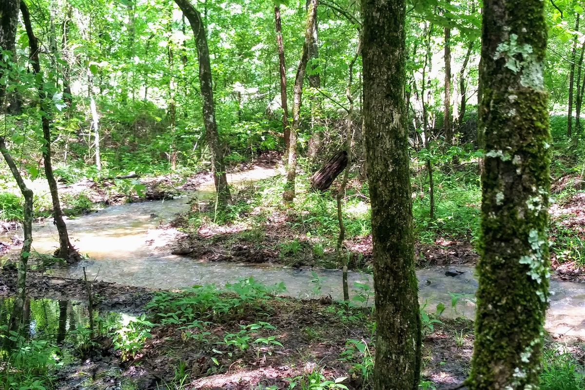 The seasonal creek gives those calming sounds.