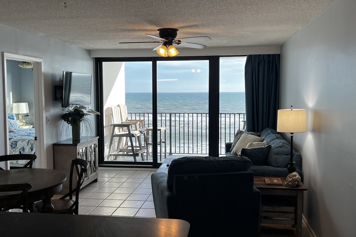 Living Room View