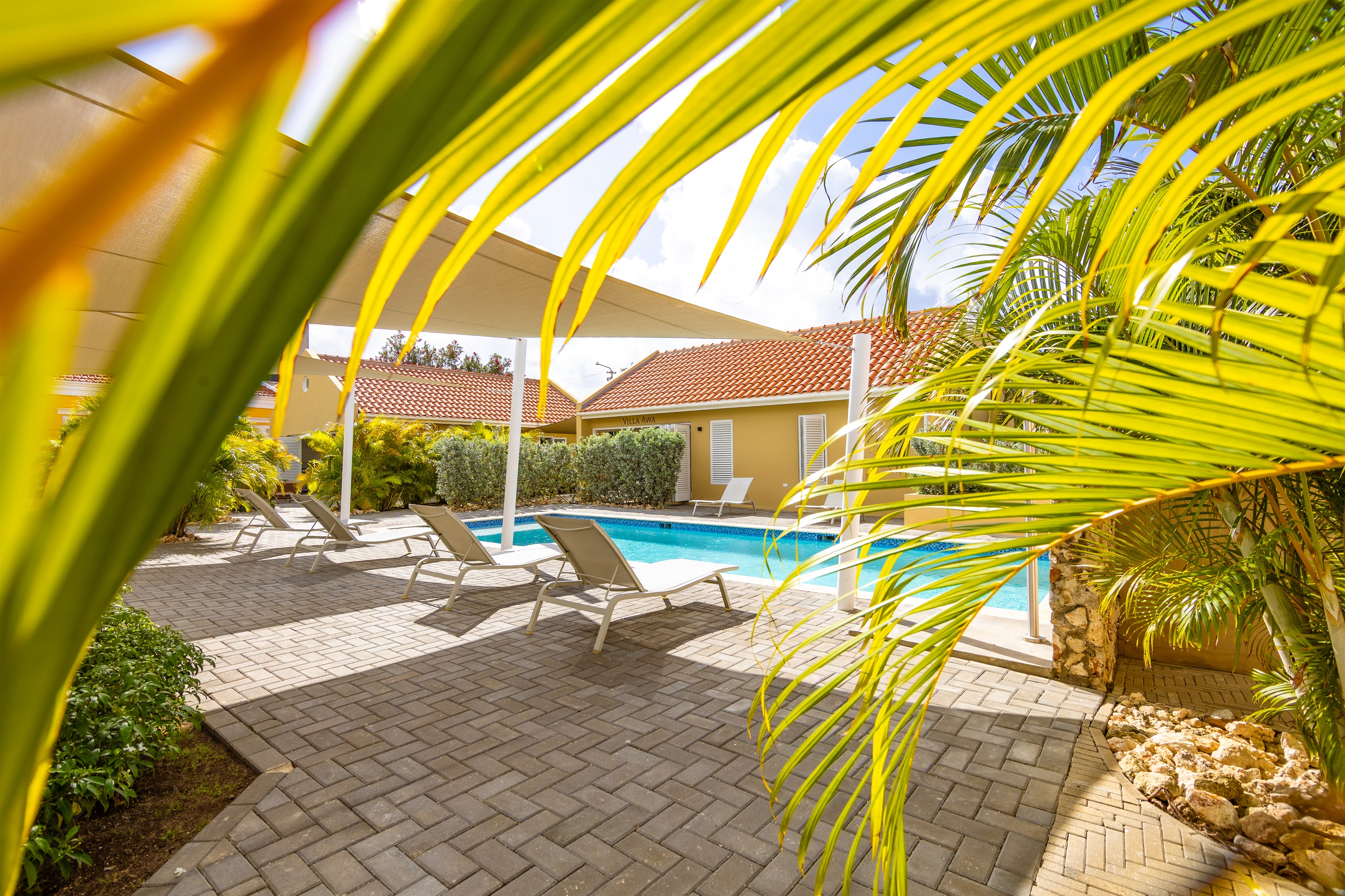 Villa Grandi Estate - Pool & garden