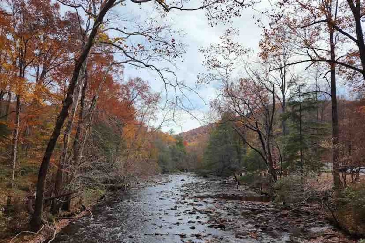 Metcalf Bottoms only three miles away in the Smoky Mountain National Park.