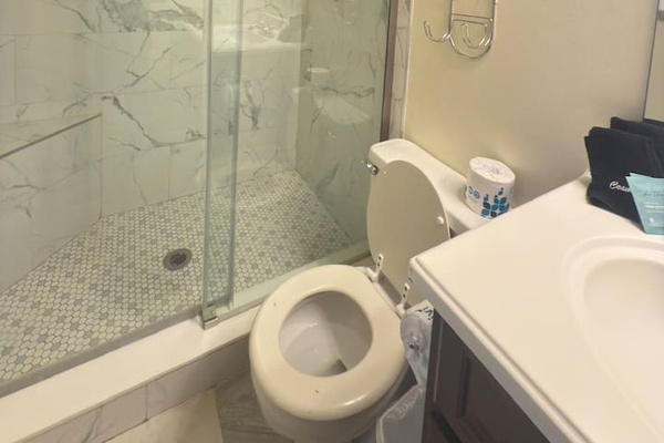 Glass walk-in shower