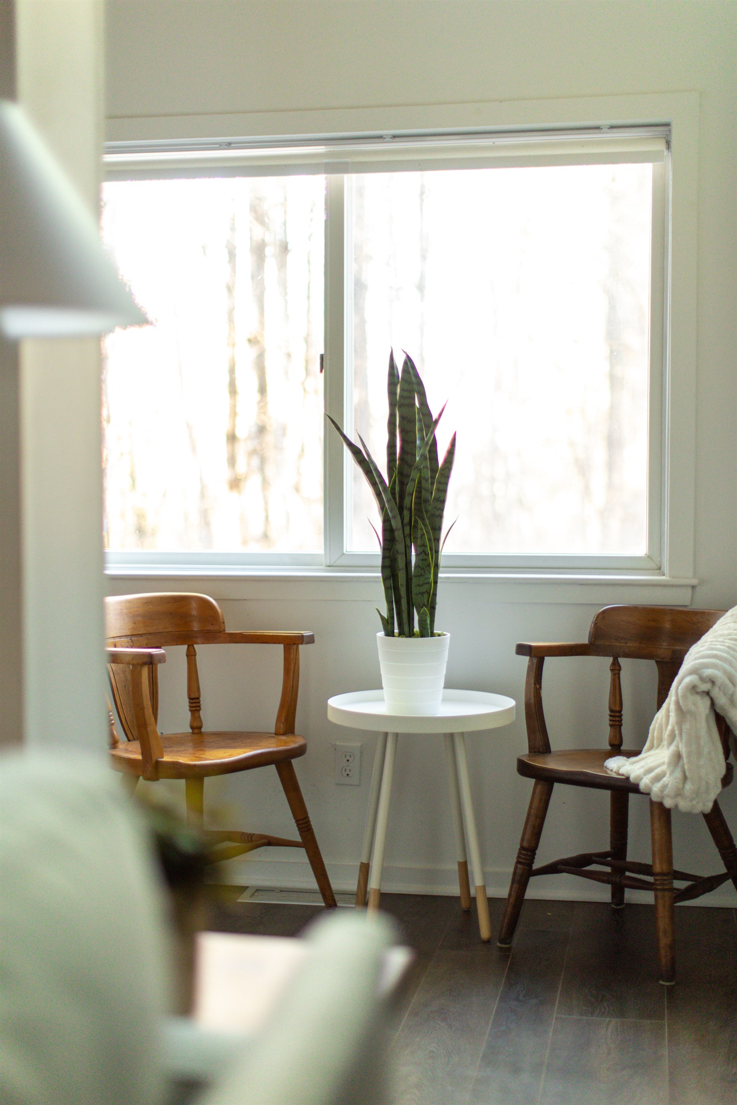 Sunlit Reading Nook: Relax in vintage chairs by the window, perfect for your morning coffee!
