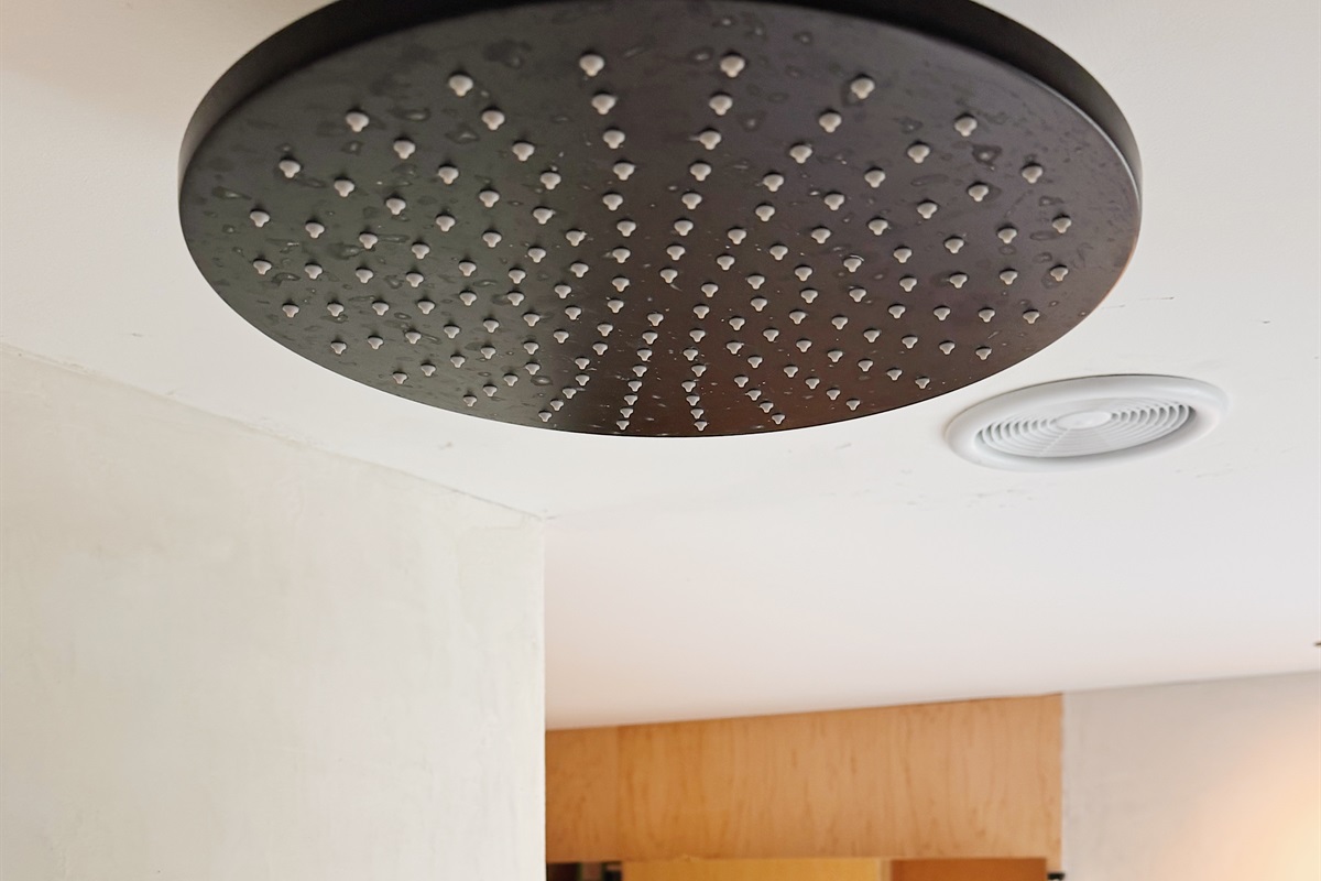 12" rain shower head
