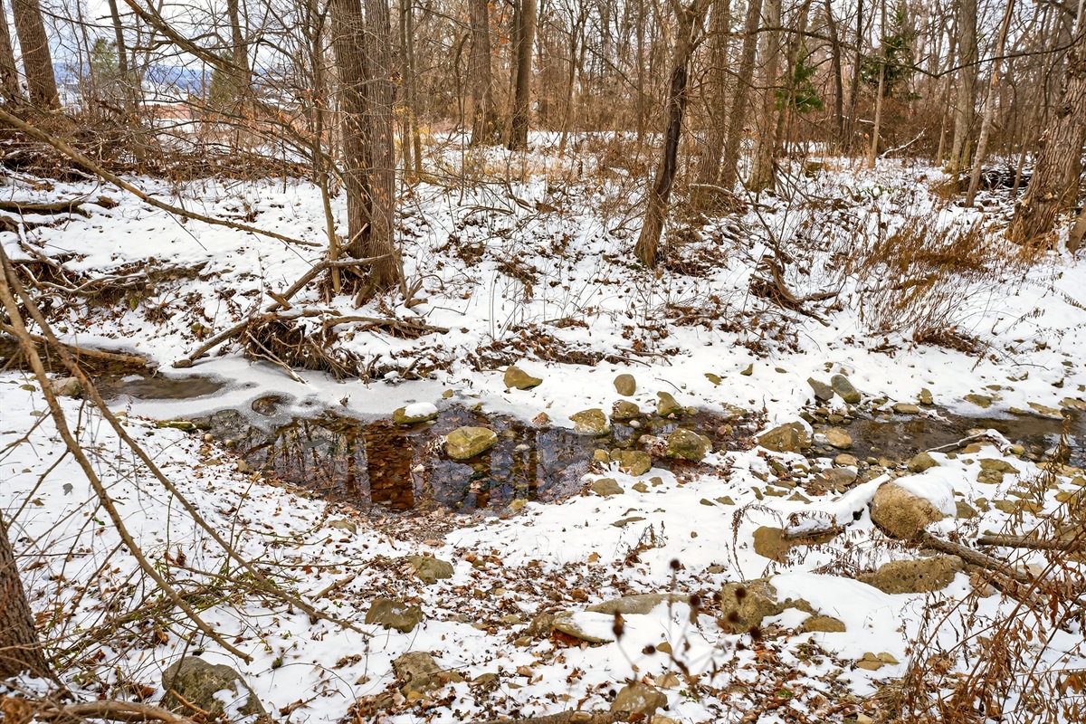 Small creek in the back yard