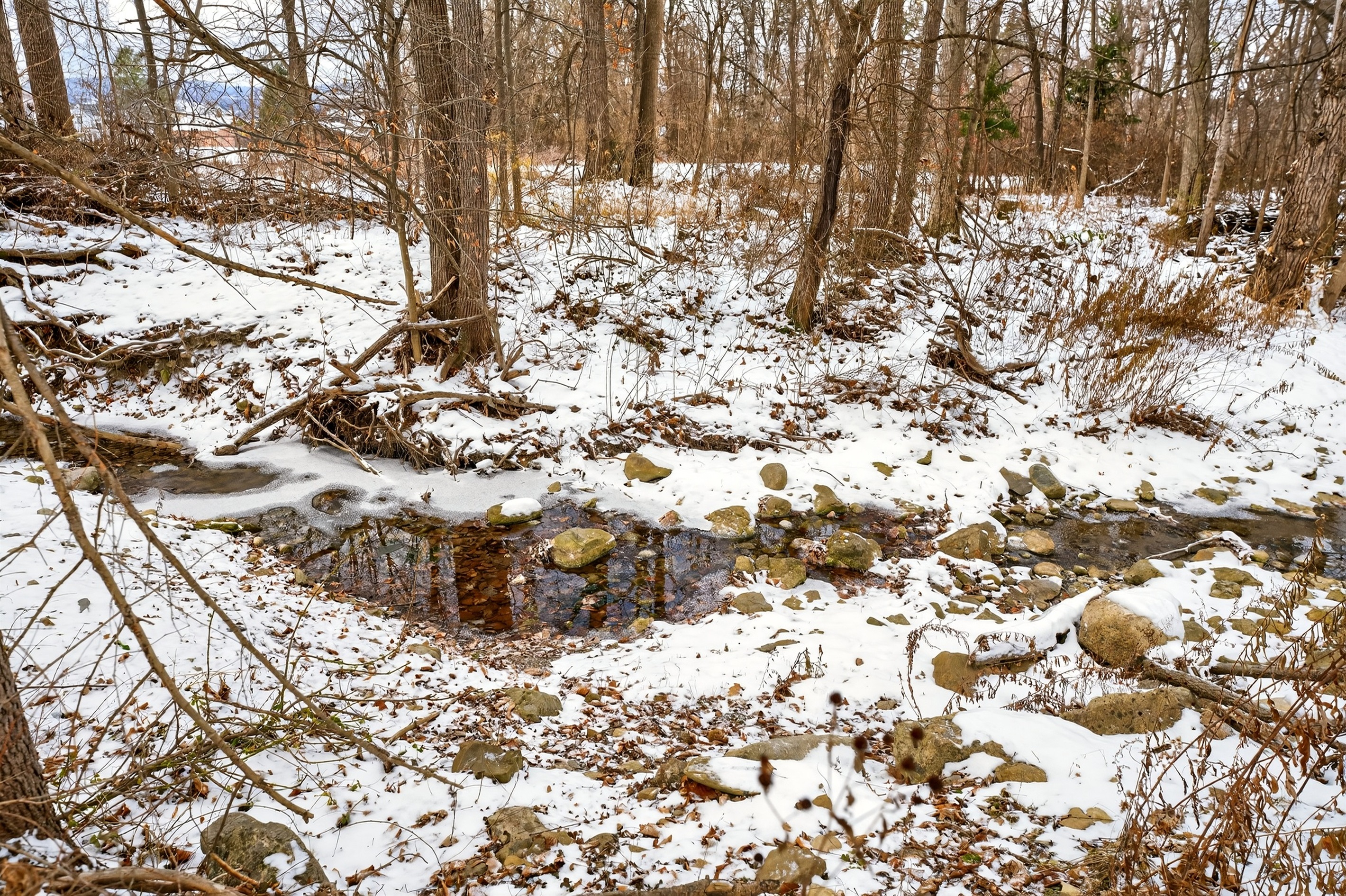 Small creek in the back yard