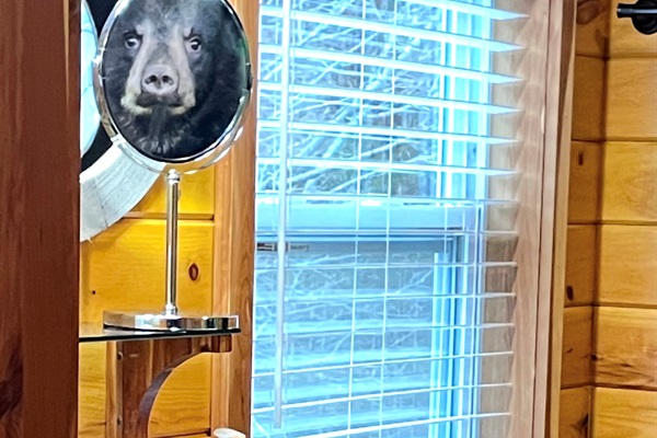 Peek a boo!